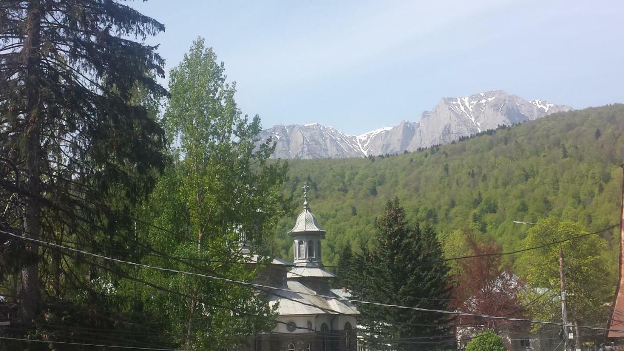 Casa Centrala Azuga Zewnętrze zdjęcie